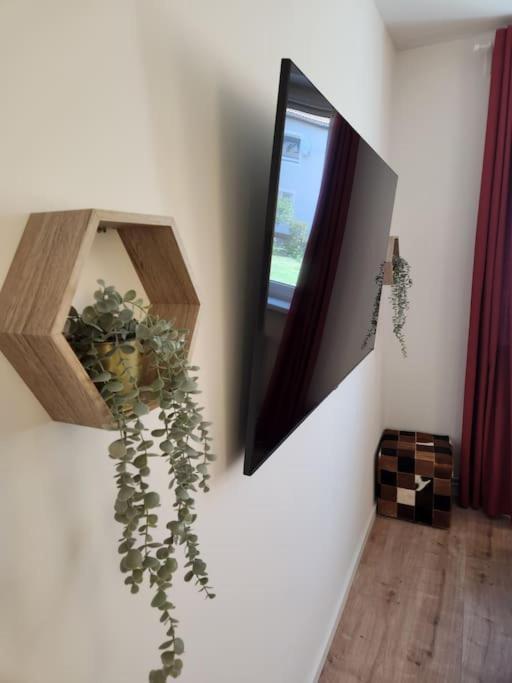 Baltic Garden Suite Dziwnow Ngoại thất bức ảnh