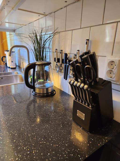 Baltic Garden Suite Dziwnow Ngoại thất bức ảnh
